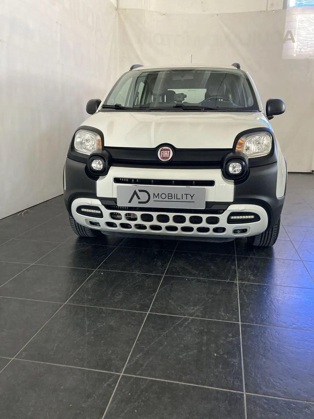 Fiat Panda Cross usata a Foggia
