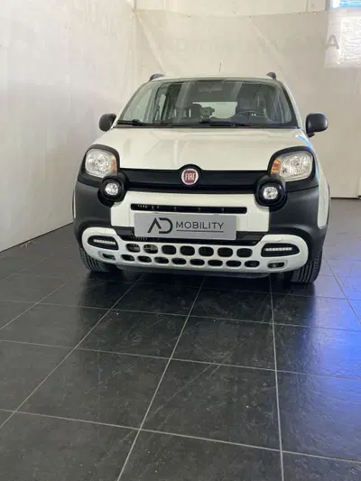 Fiat Panda Cross 1.0 firefly hybrid Cross s&s 70cv 5p.ti del 2018 usata a San Severo