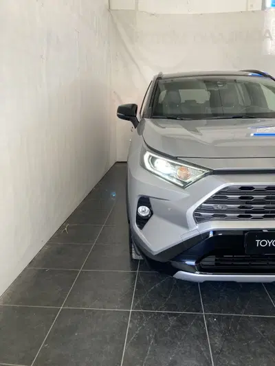 Toyota Rav4 vvt-ie h Style 2wd 218cv e-cvt del 2019 usata a San Severo