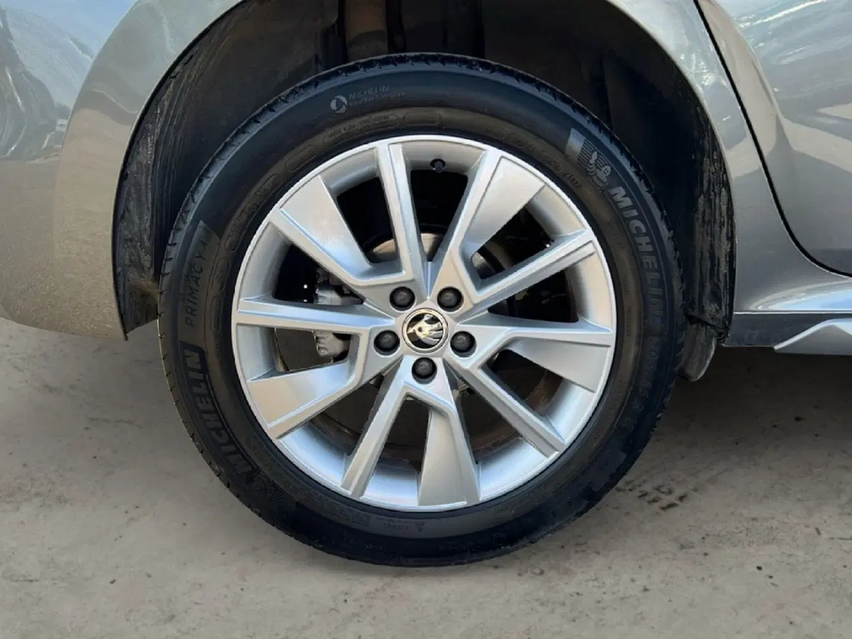 Skoda Kamiq usata a Grosseto (9)