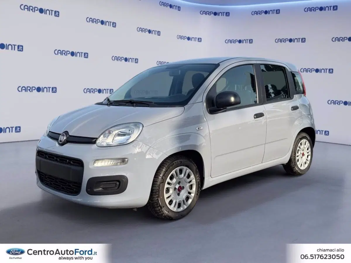 Fiat Panda usata a Roma