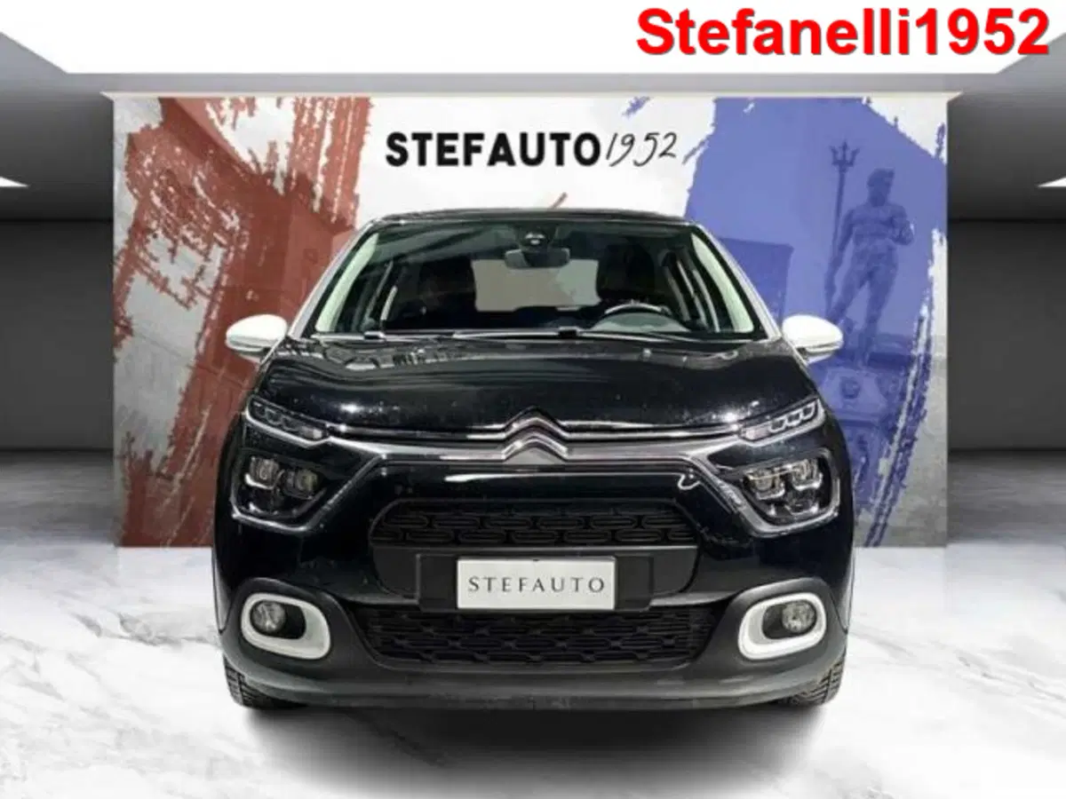 Citroen C3 usata a Bologna (2)