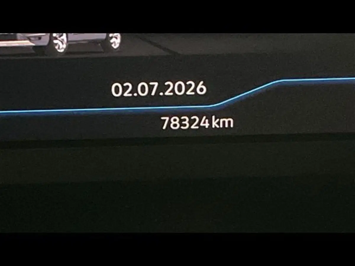 Volkswagen T-Roc usata a Firenze (8)