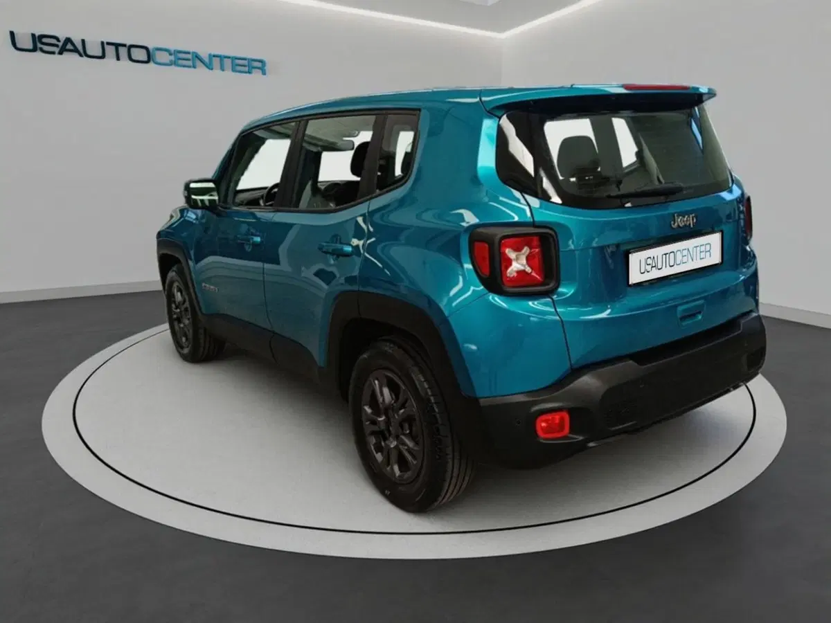 Jeep Renegade usata a Monza e Brianza (5)