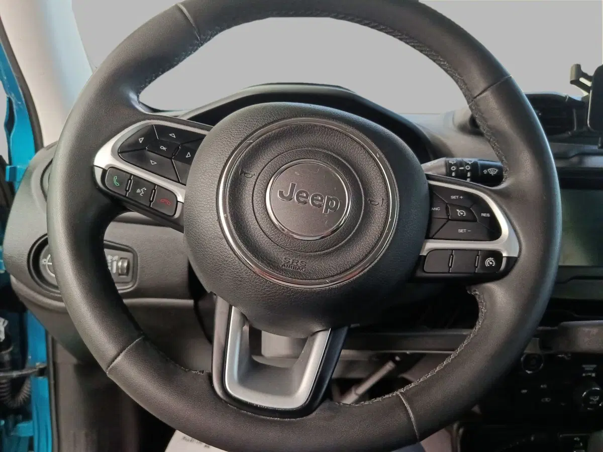 Jeep Renegade usata a Monza e Brianza (9)