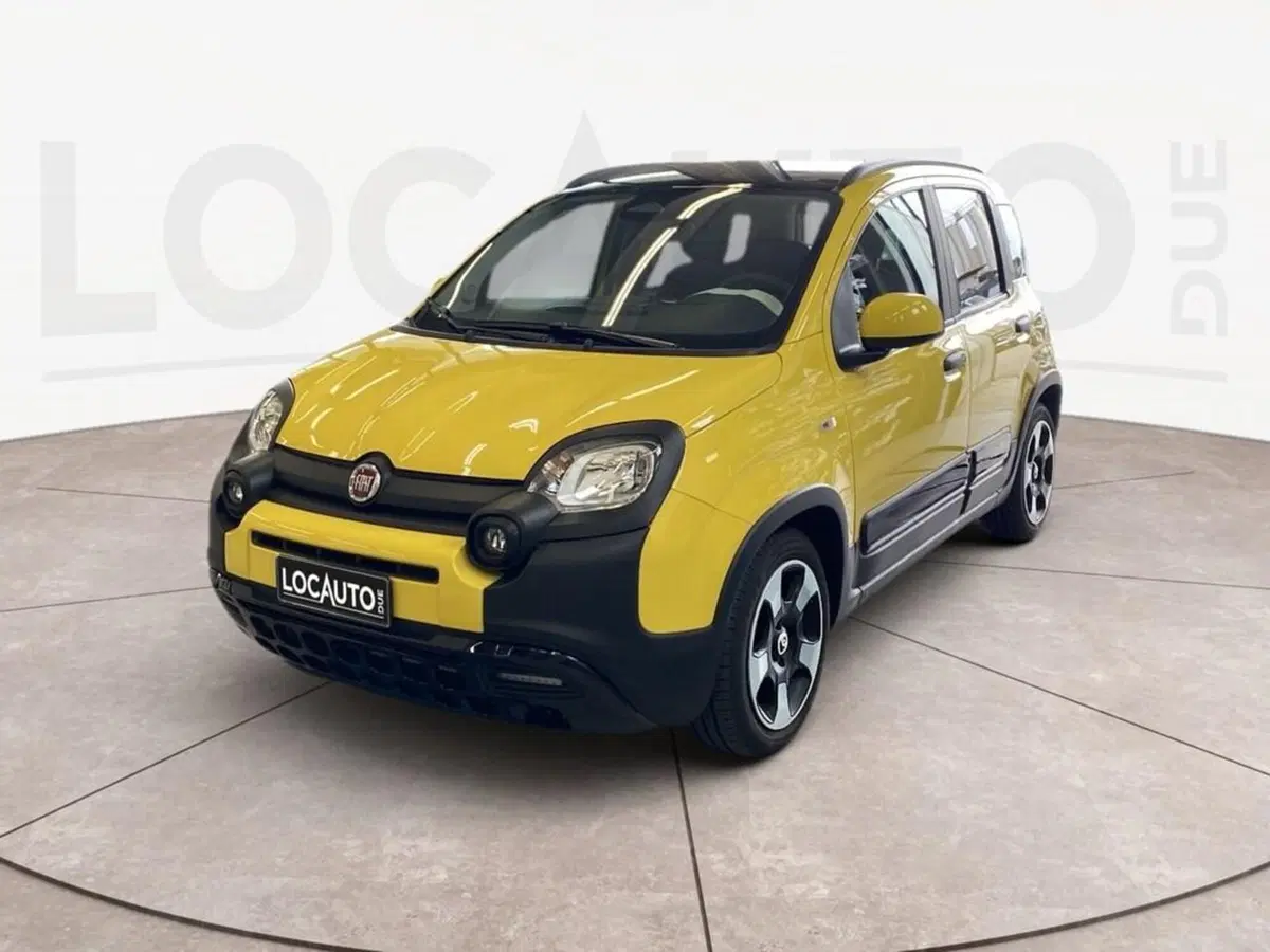 Fiat Pandina usata a Torino