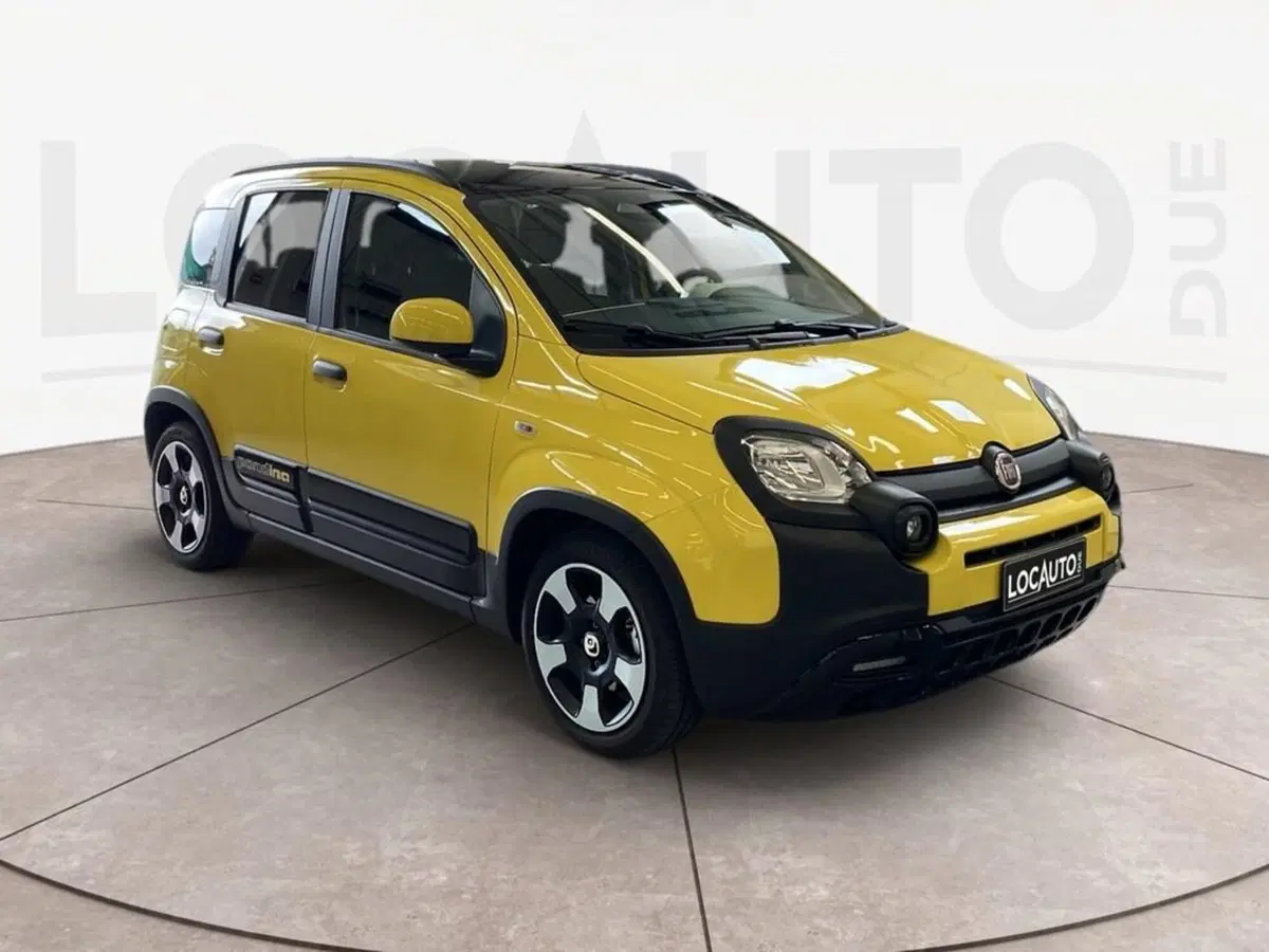 Fiat Pandina usata a Torino (3)