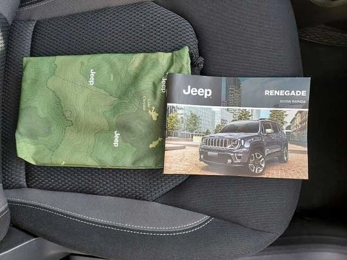 Jeep Renegade usata a Treviso (16)