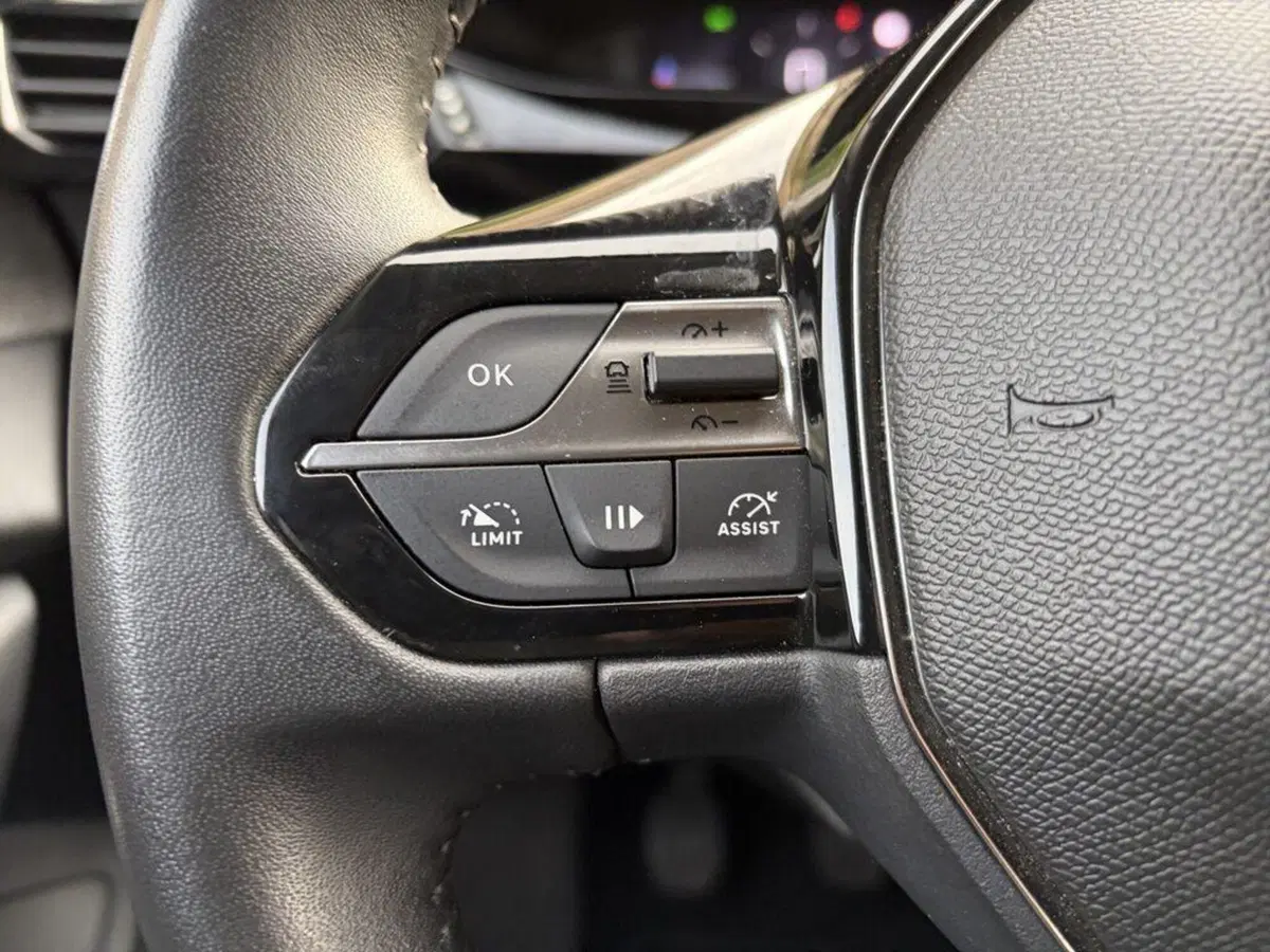 Peugeot 308 SW usata a Torino (12)