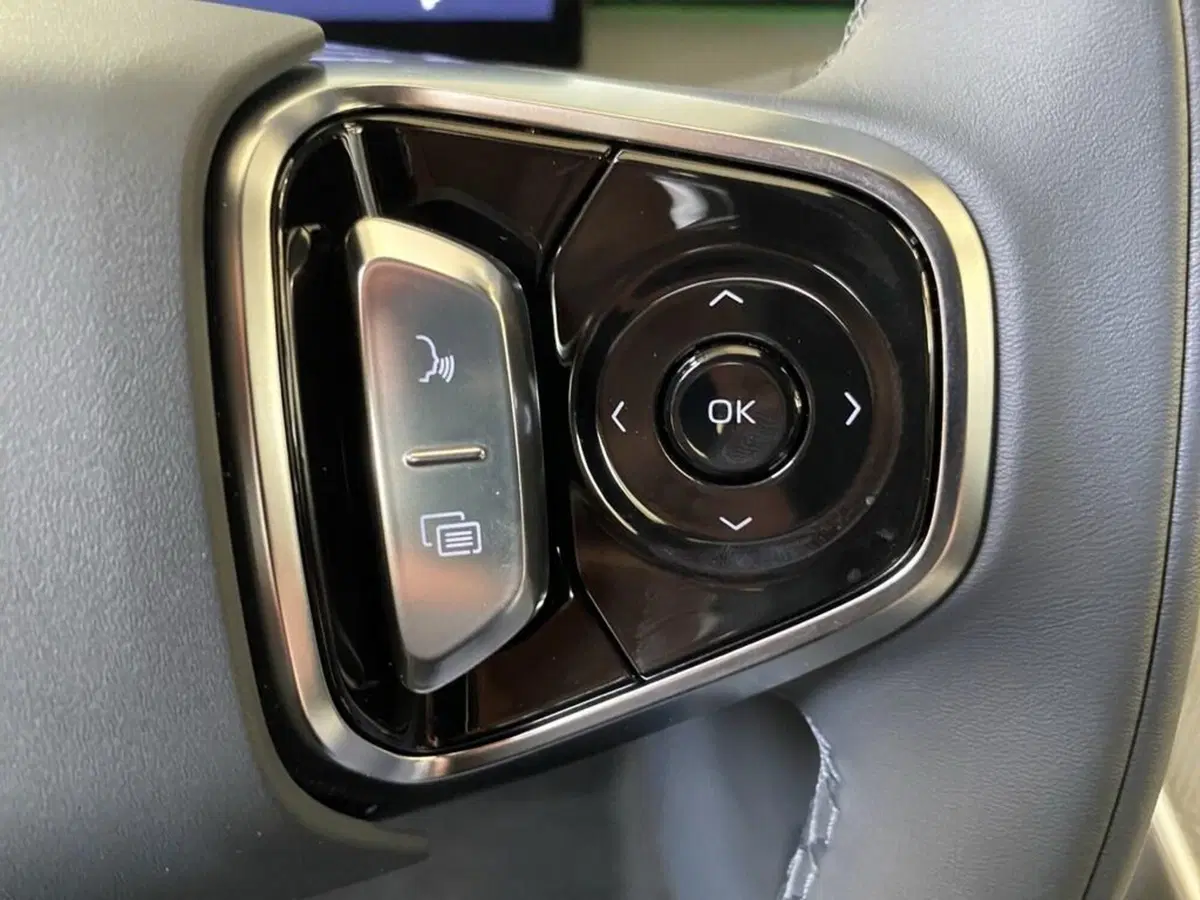 Geely Starray nuova a Torino (12)