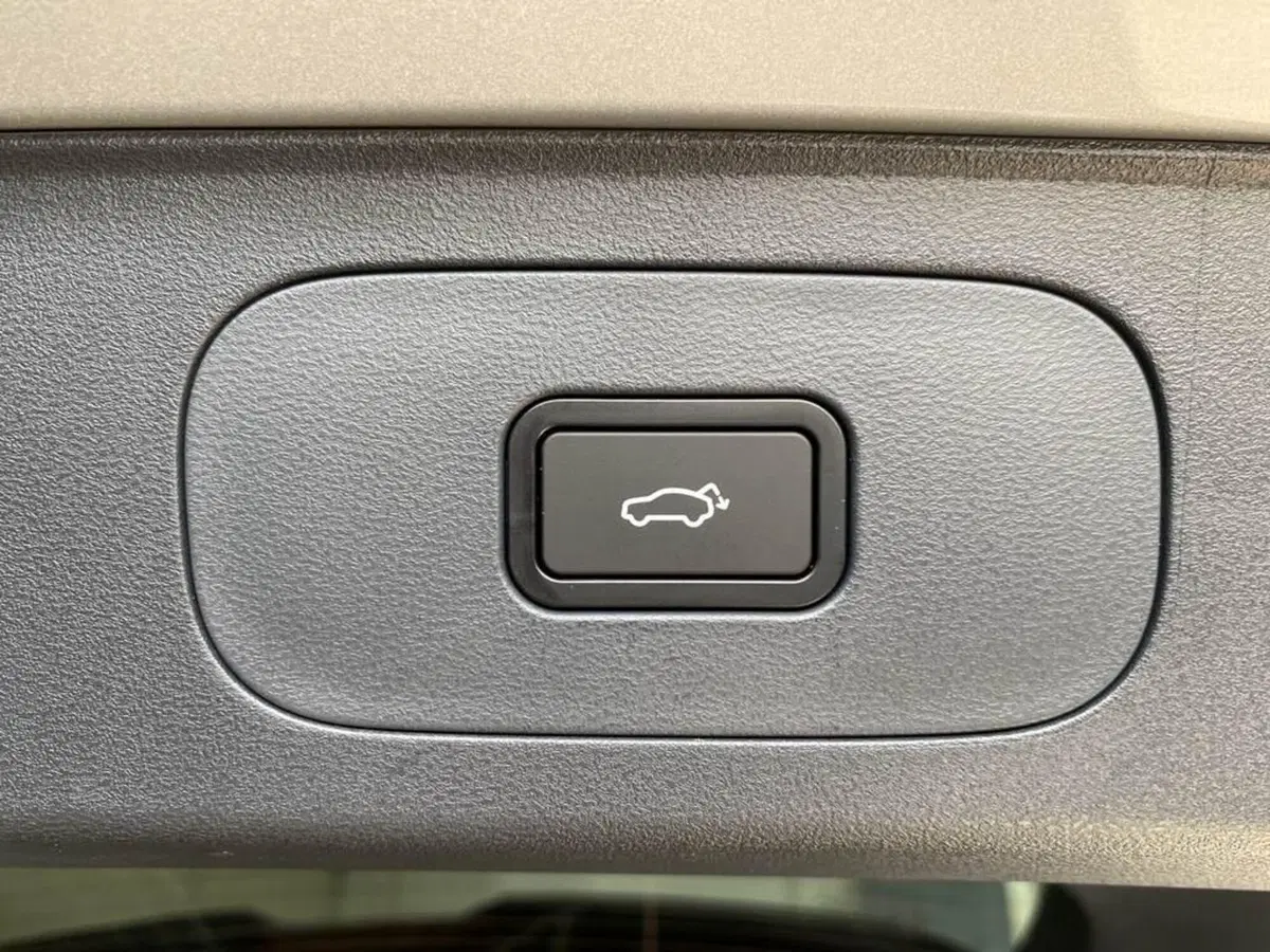 Geely Starray nuova a Torino (13)