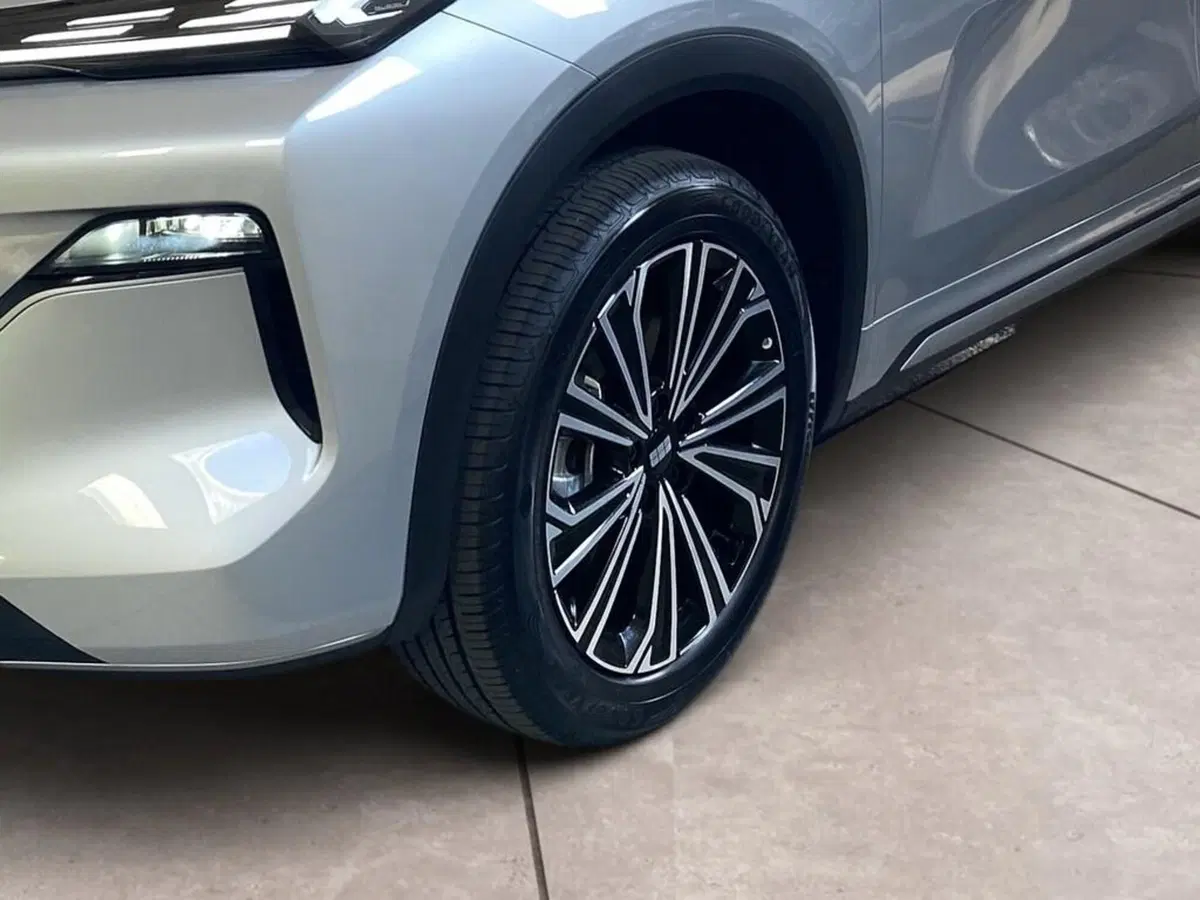 Geely Starray nuova a Torino (15)