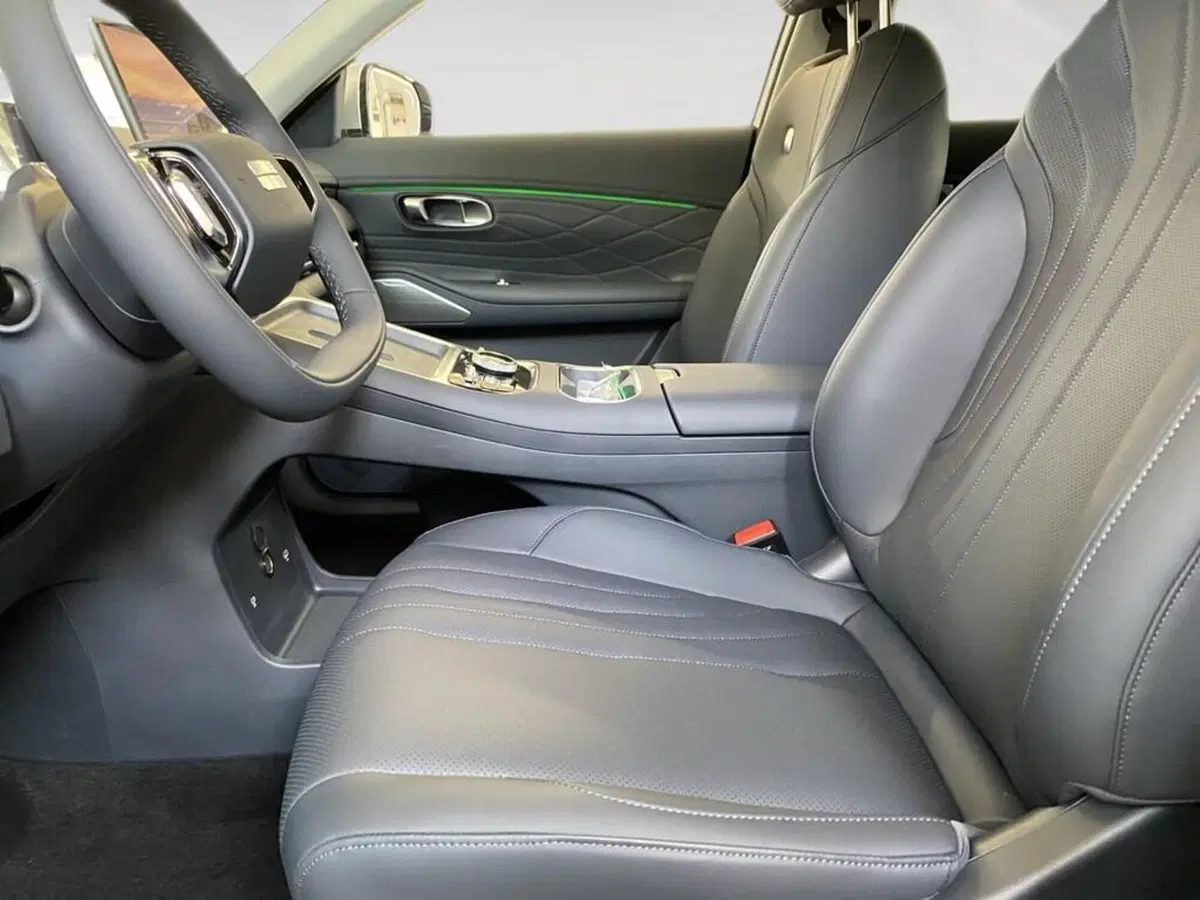 Geely Starray nuova a Torino (7)