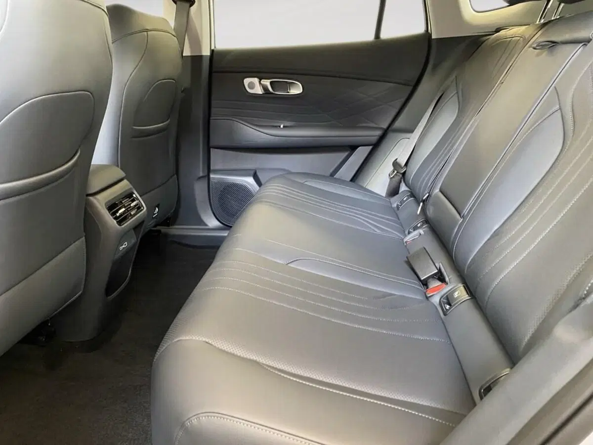 Geely Starray nuova a Torino (8)