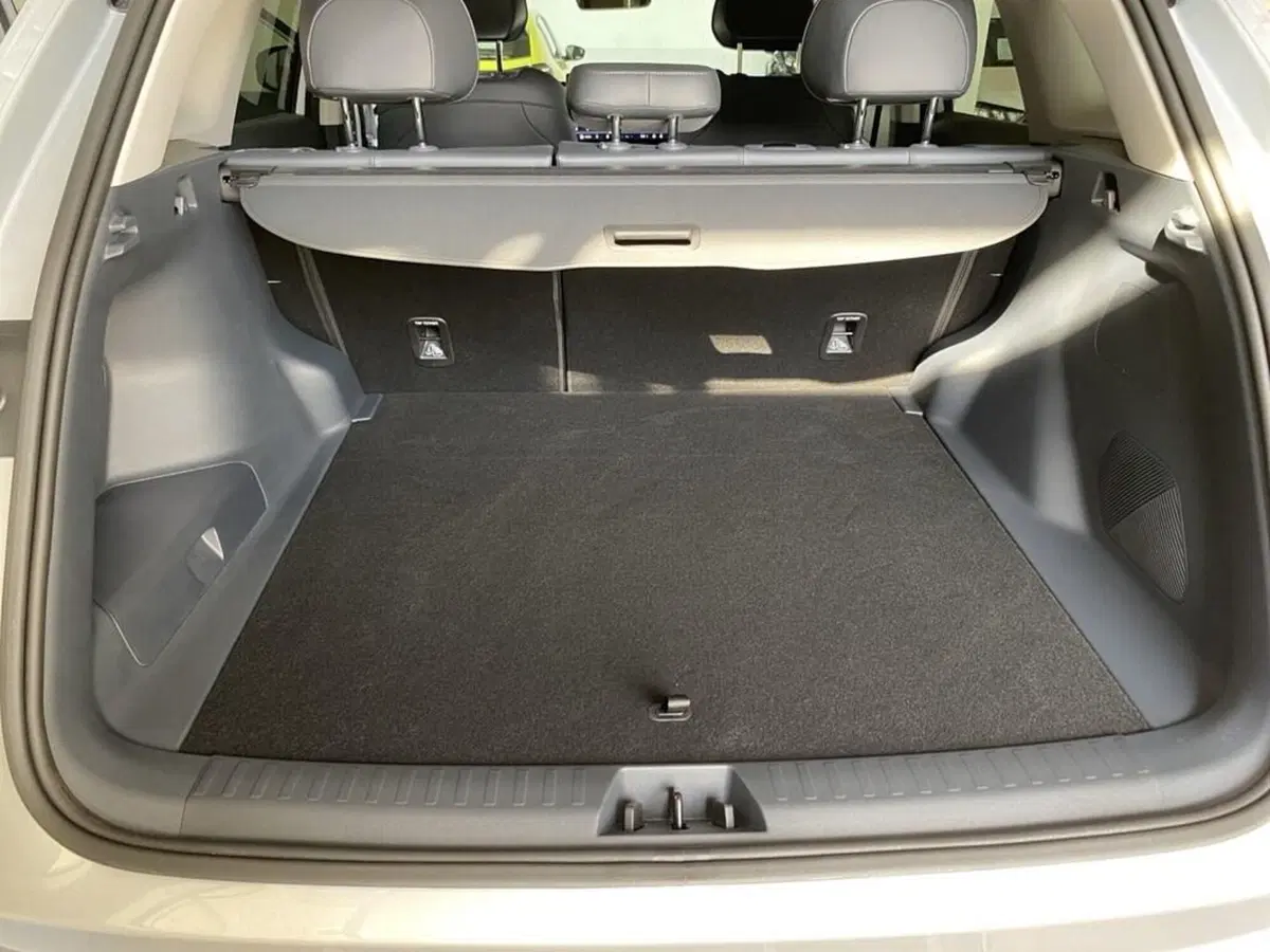 Geely Starray nuova a Torino (9)