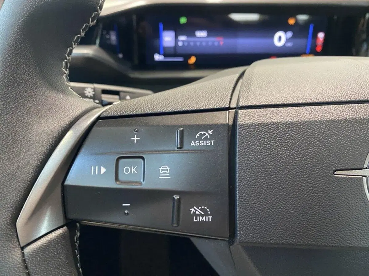 Opel Grandland nuova a Torino (13)