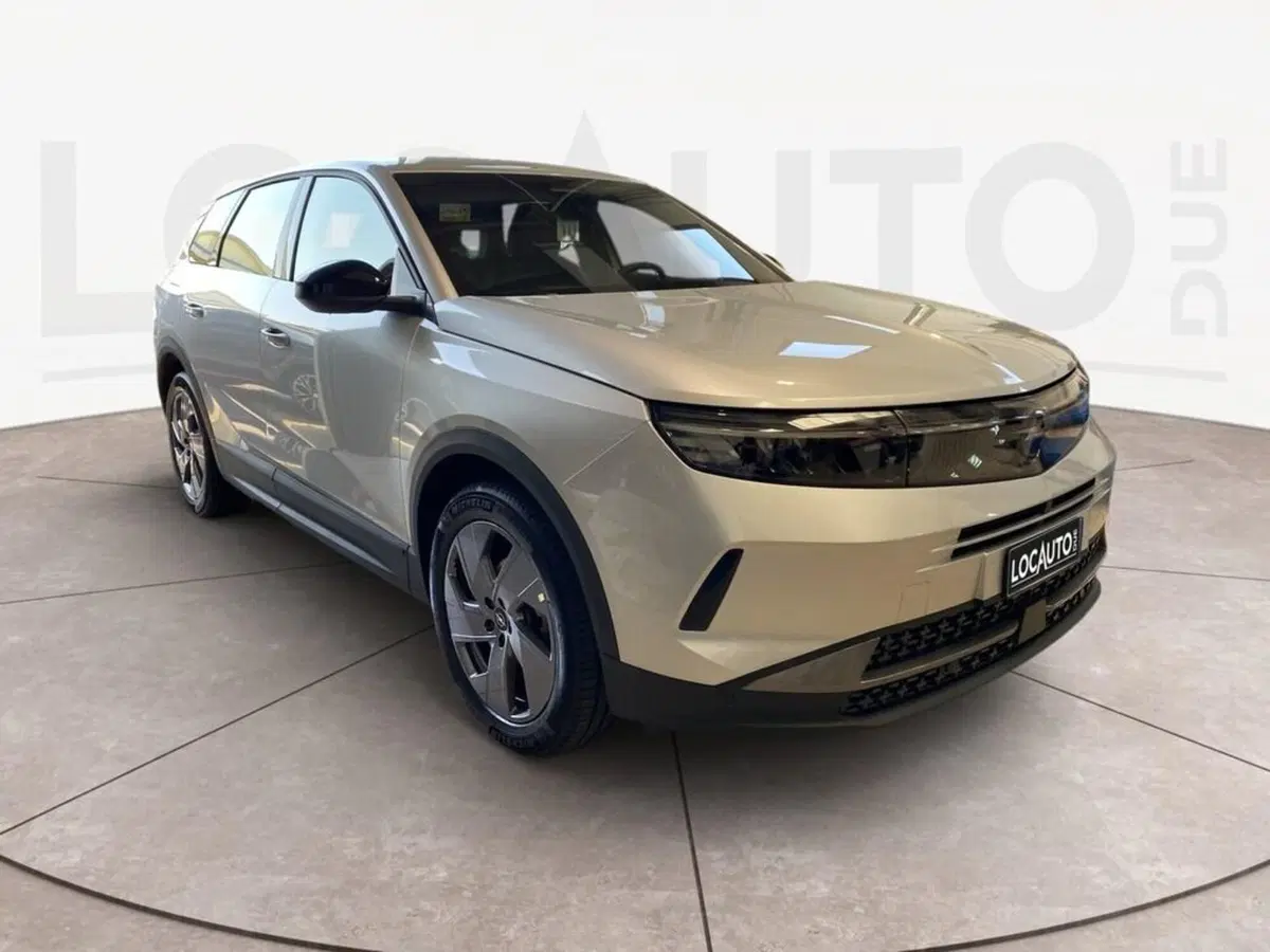 Opel Grandland nuova a Torino (3)