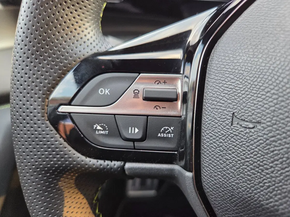 Peugeot 308 usata a Torino (20)