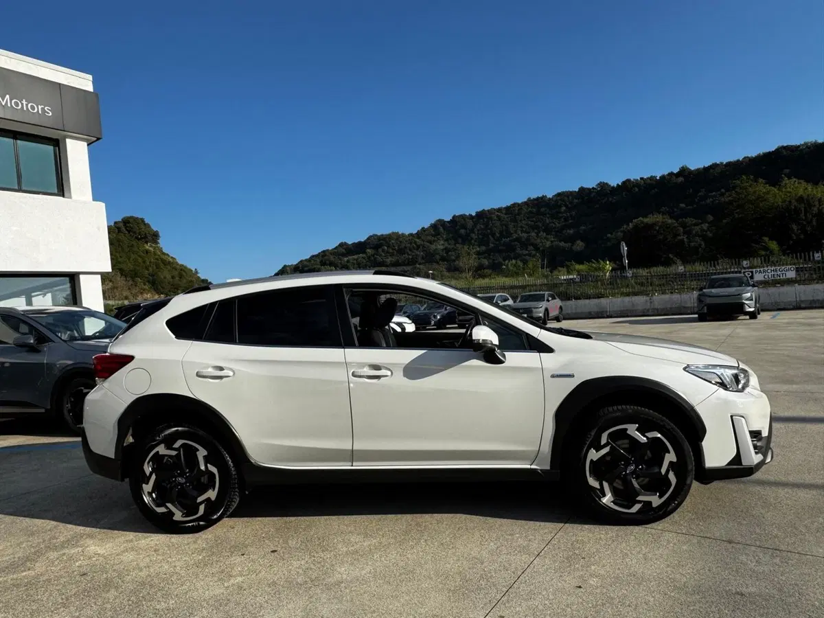 Subaru XV usata a Cosenza (3)
