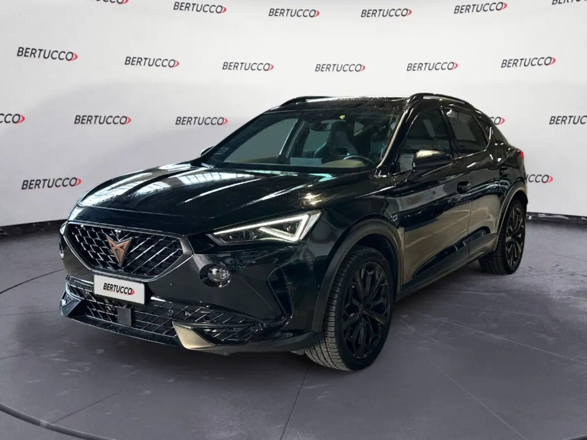 Cupra Formentor usata a Verona (2)