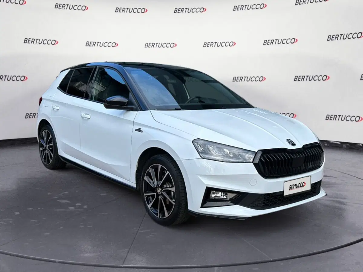 Skoda Fabia usata a Verona