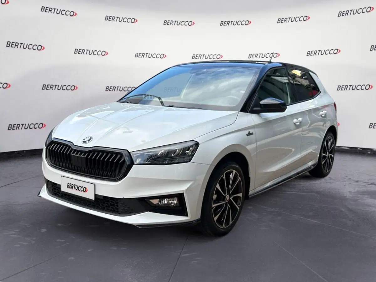 Skoda Fabia usata a Verona (2)