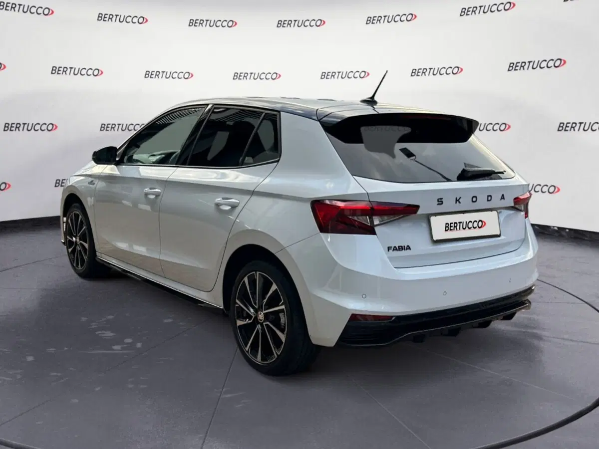 Skoda Fabia usata a Verona (3)