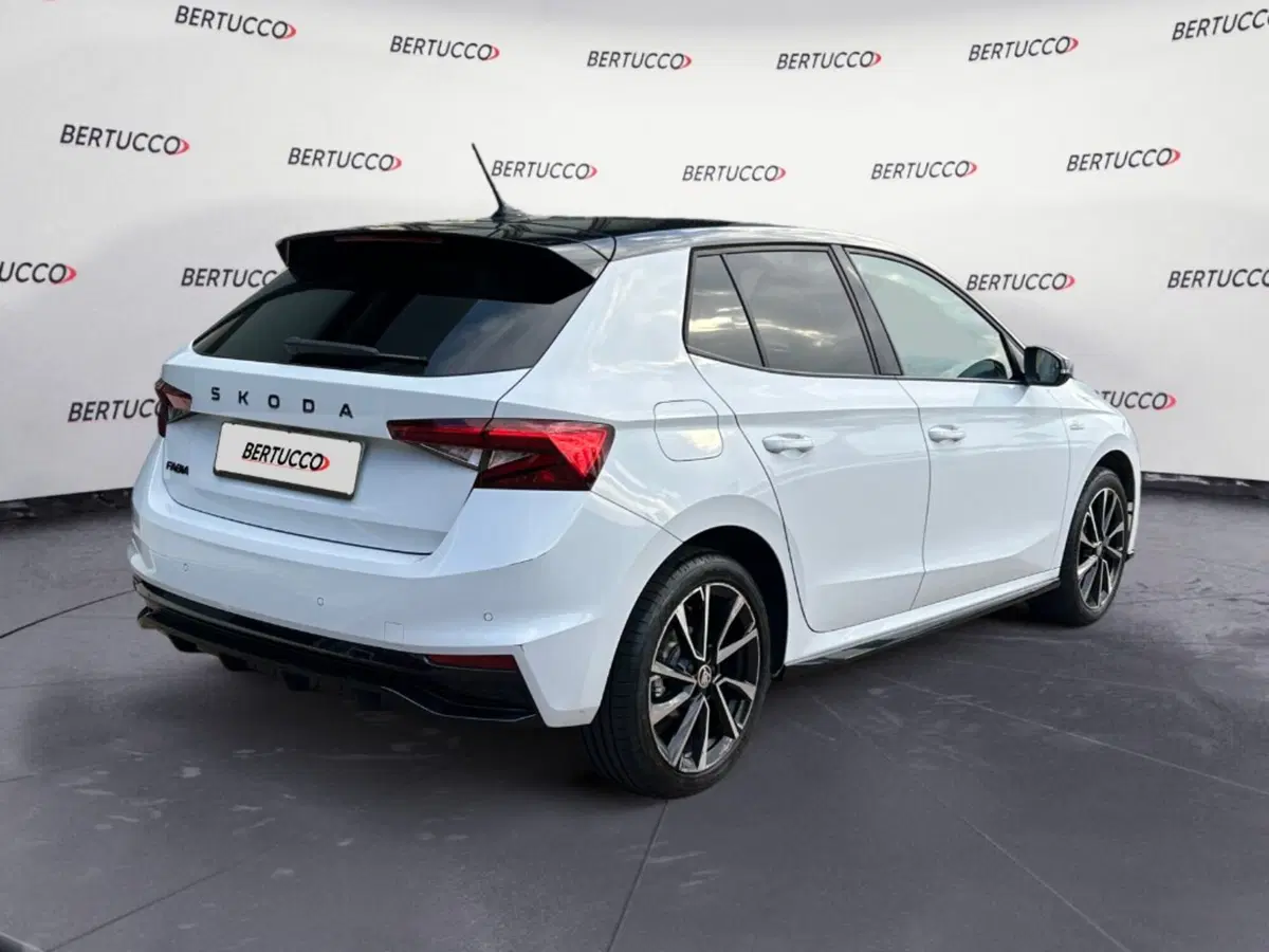 Skoda Fabia usata a Verona (4)