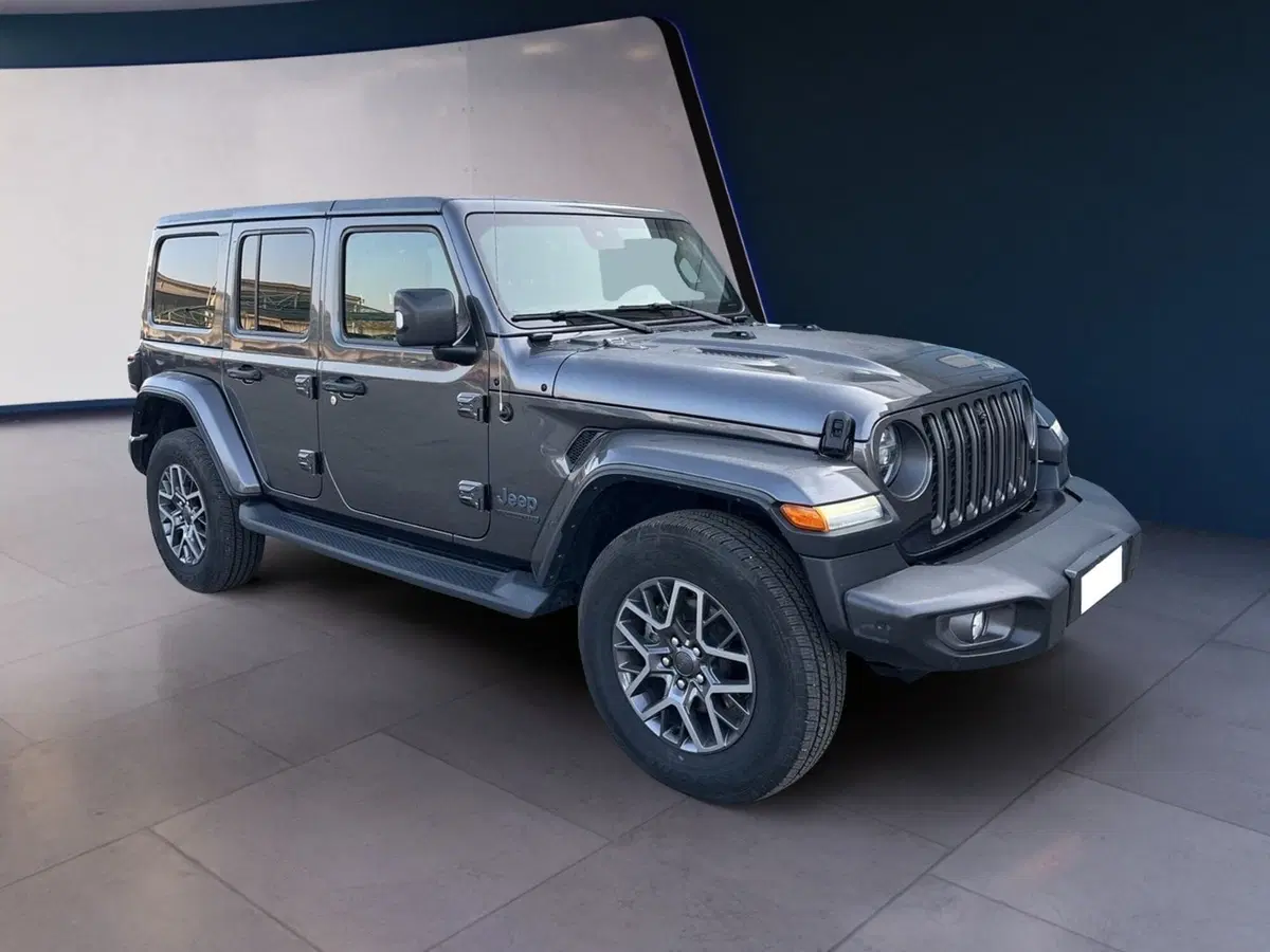 Jeep Wrangler Unlimited usata a Torino (2)