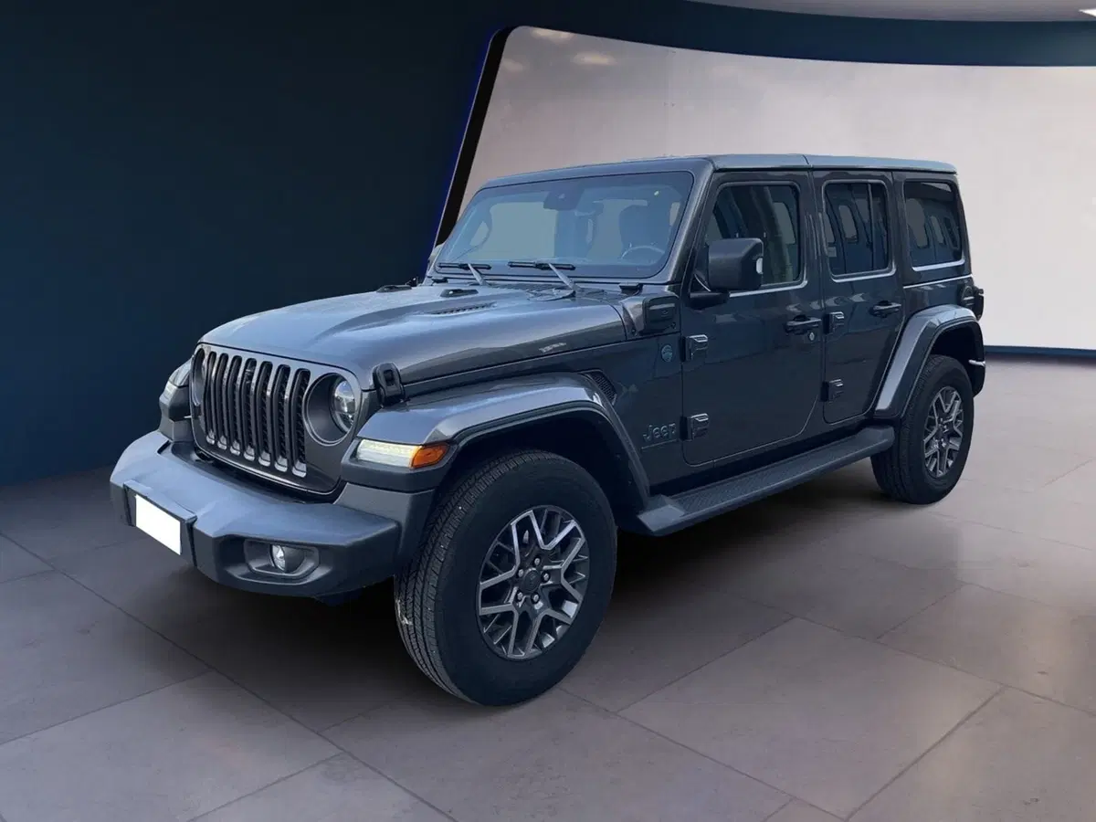 Jeep Wrangler Unlimited usata a Torino (3)