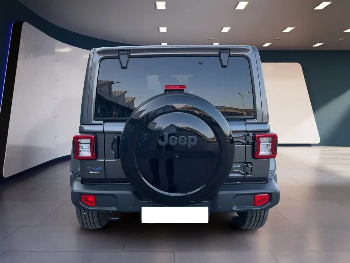 Jeep Wrangler Unlimited usata a Torino (5)