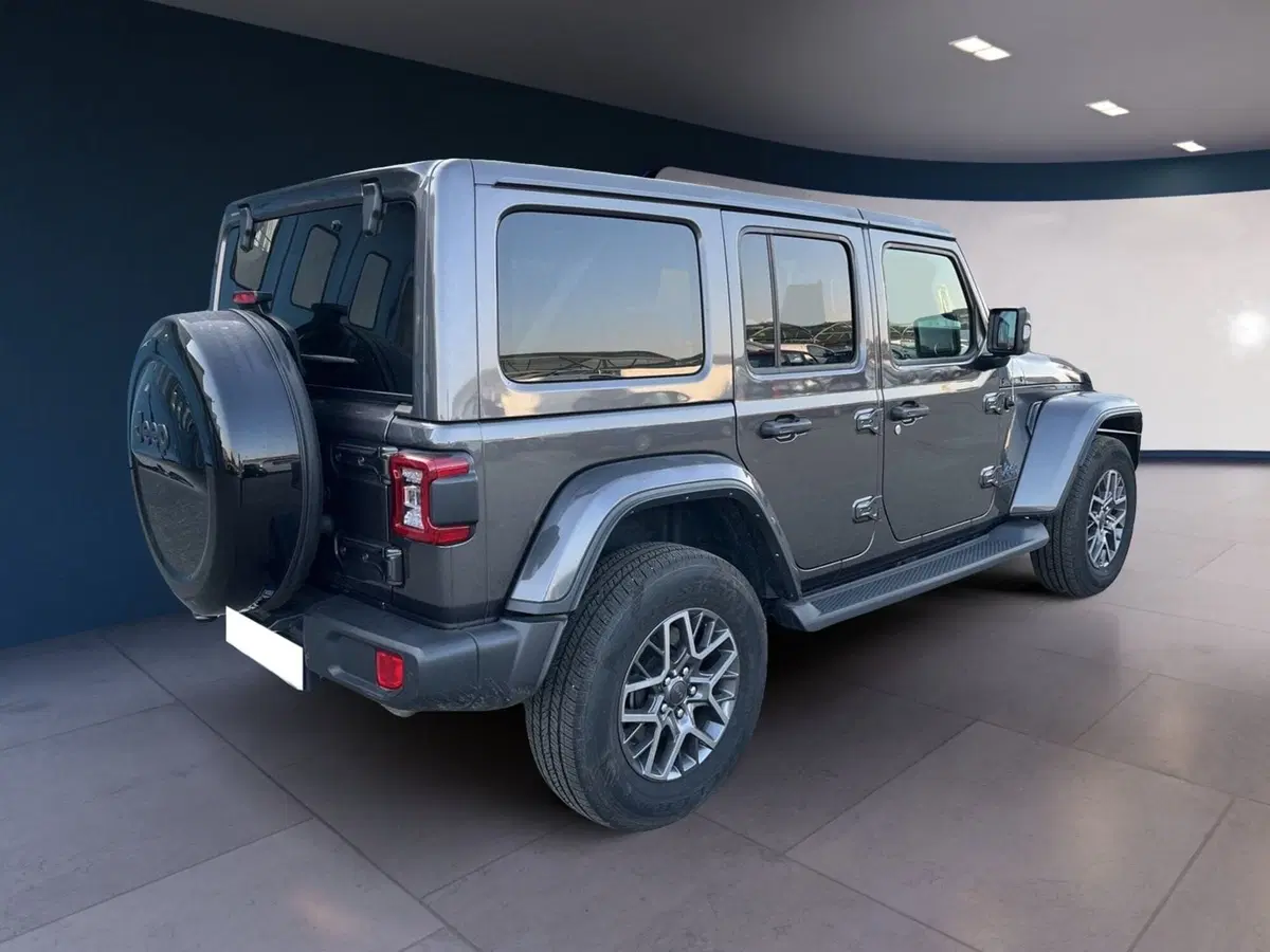 Jeep Wrangler Unlimited usata a Torino (6)