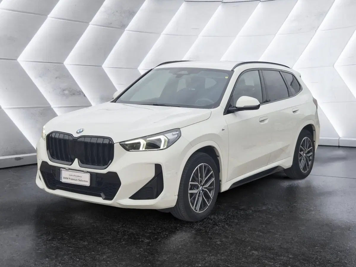 BMW X1 usata 