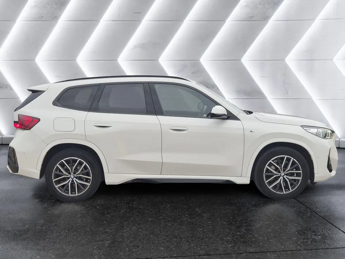 BMW X1 usata  (6)