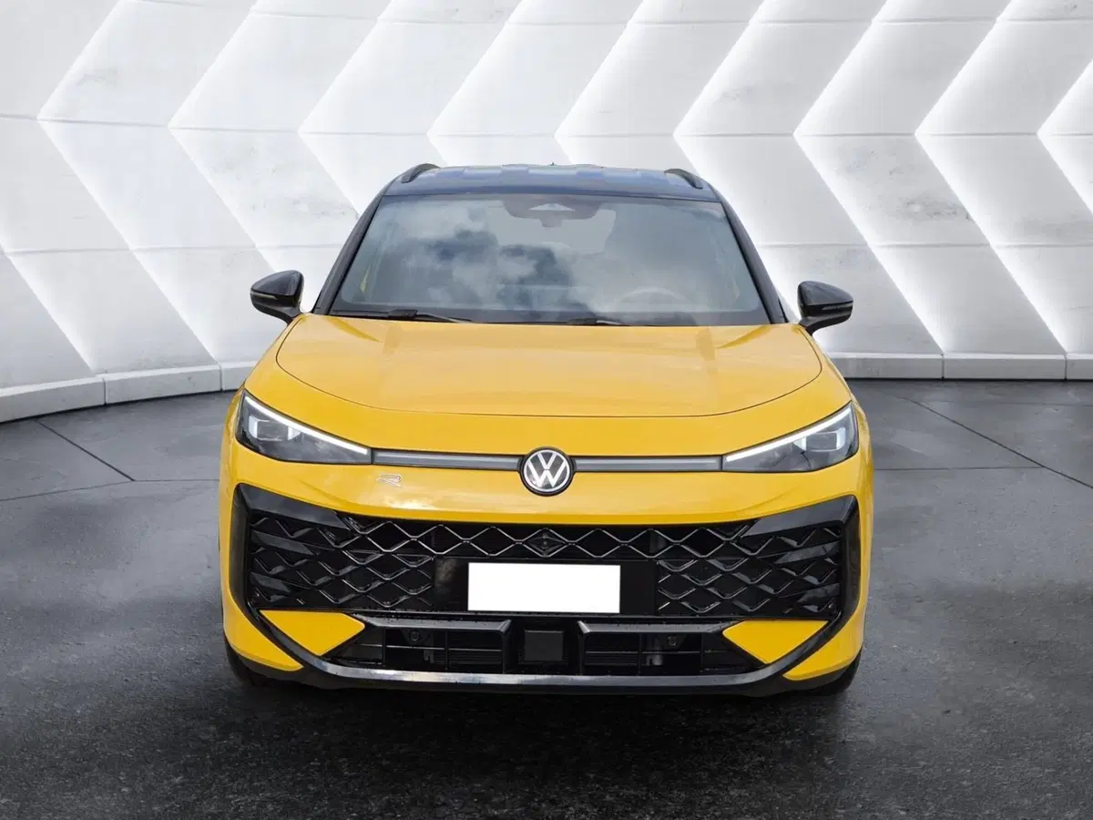 Volkswagen T-Roc usata  (2)