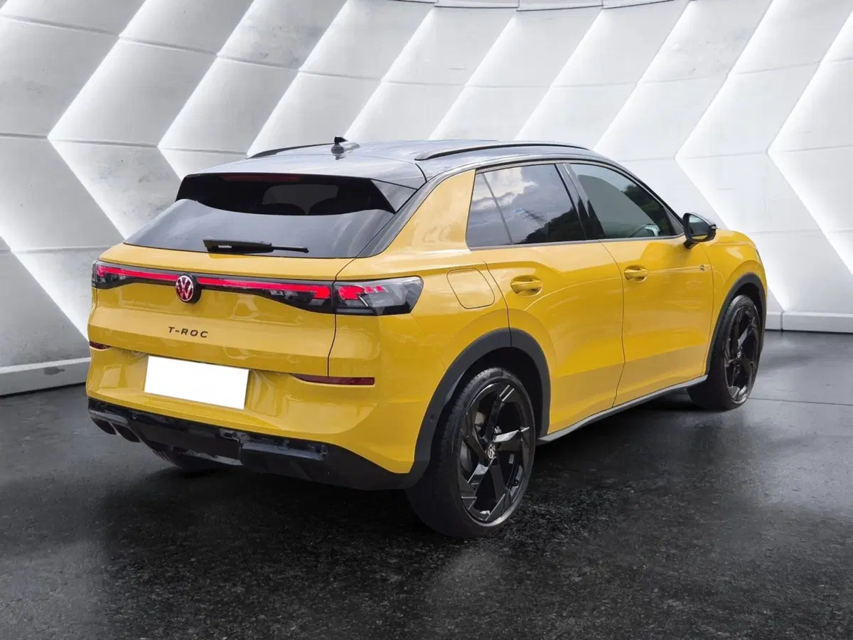 Volkswagen T-Roc usata  (4)