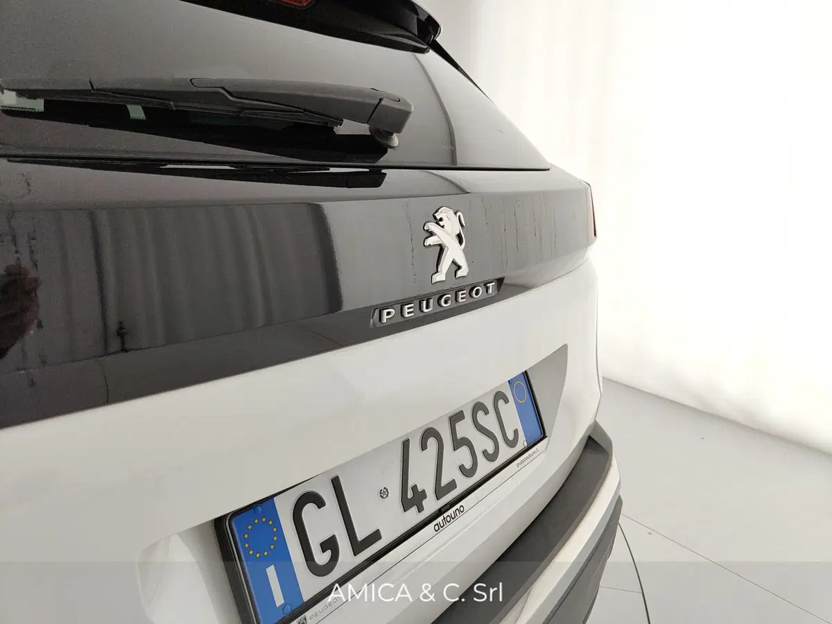 Peugeot 3008 usata a Caserta (11)
