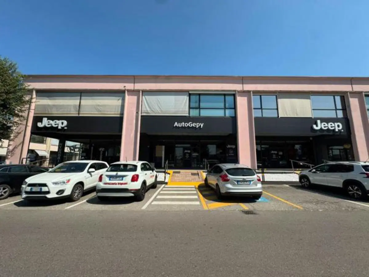 MINI Mini Countryman usata a Modena (16)