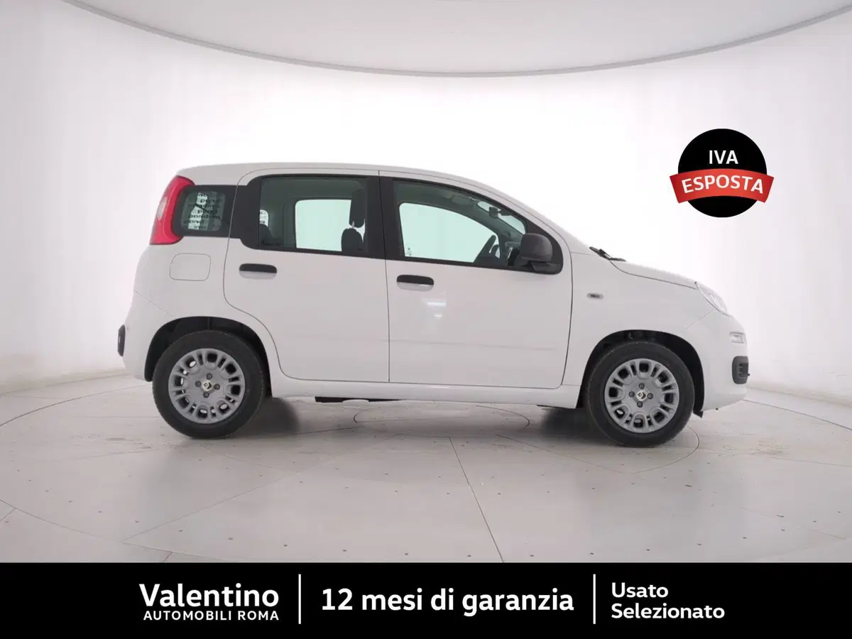 Fiat Pandina nuova a Roma (2)