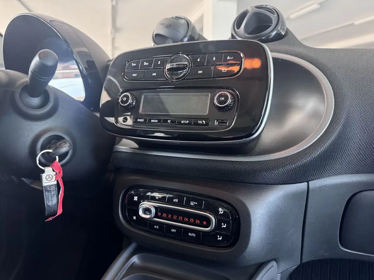 smart forfour usata a Messina (13)