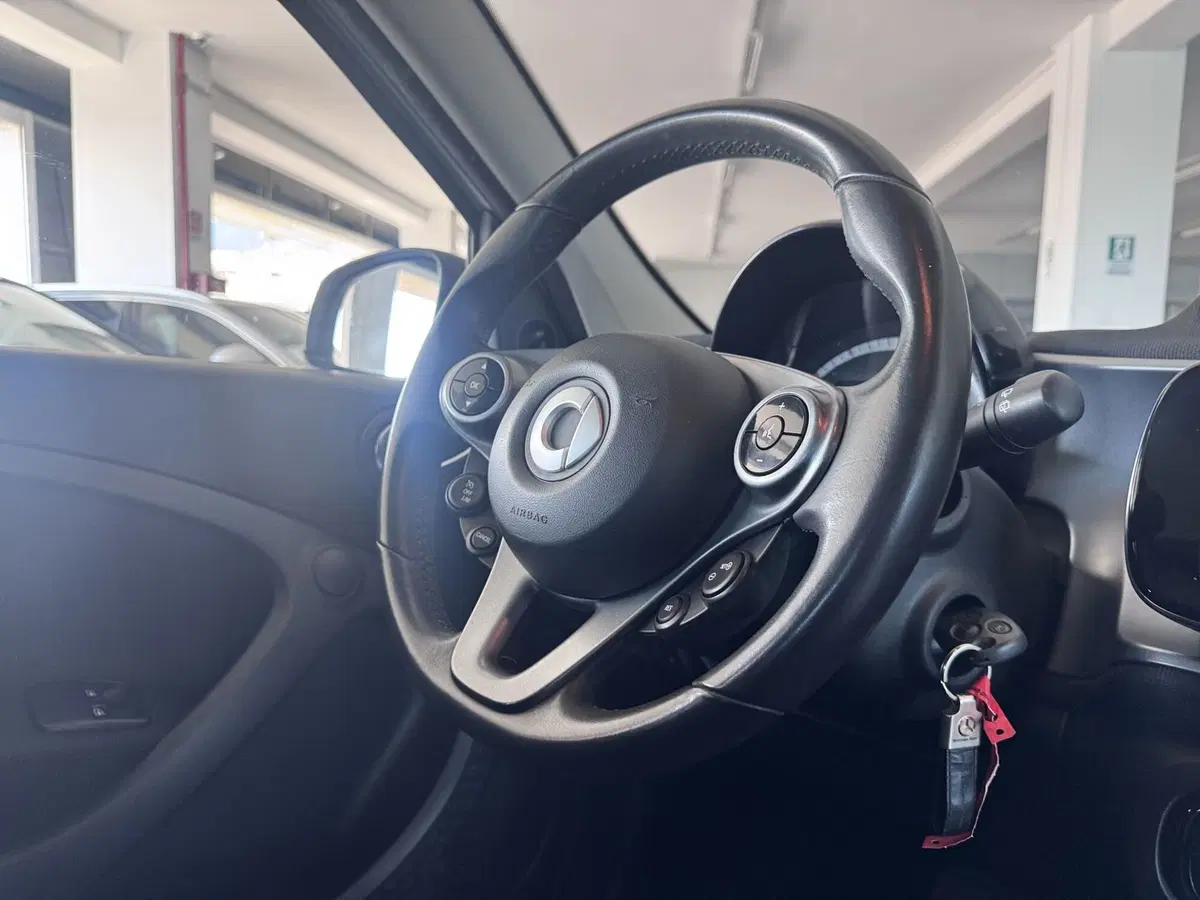 smart forfour usata a Messina (15)
