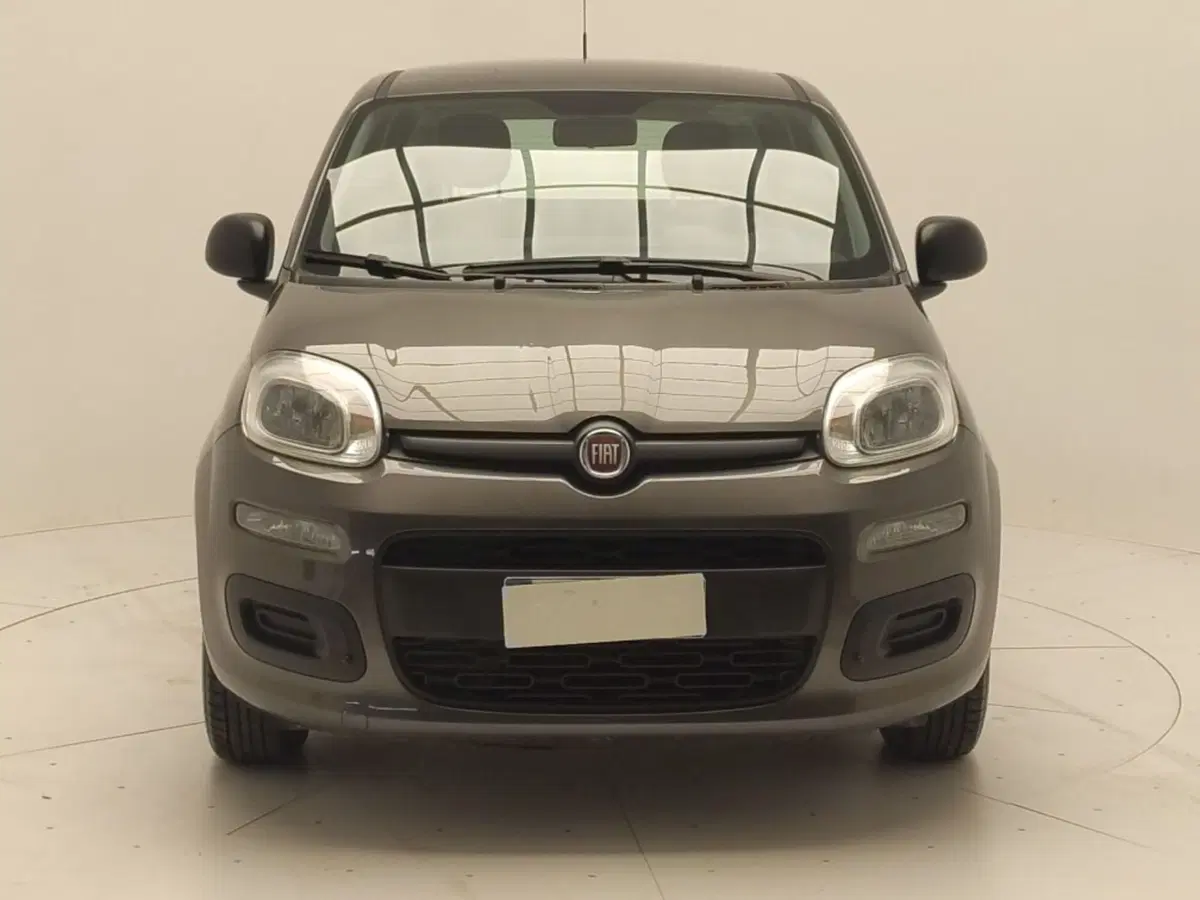 Fiat Panda usata a Avellino (2)