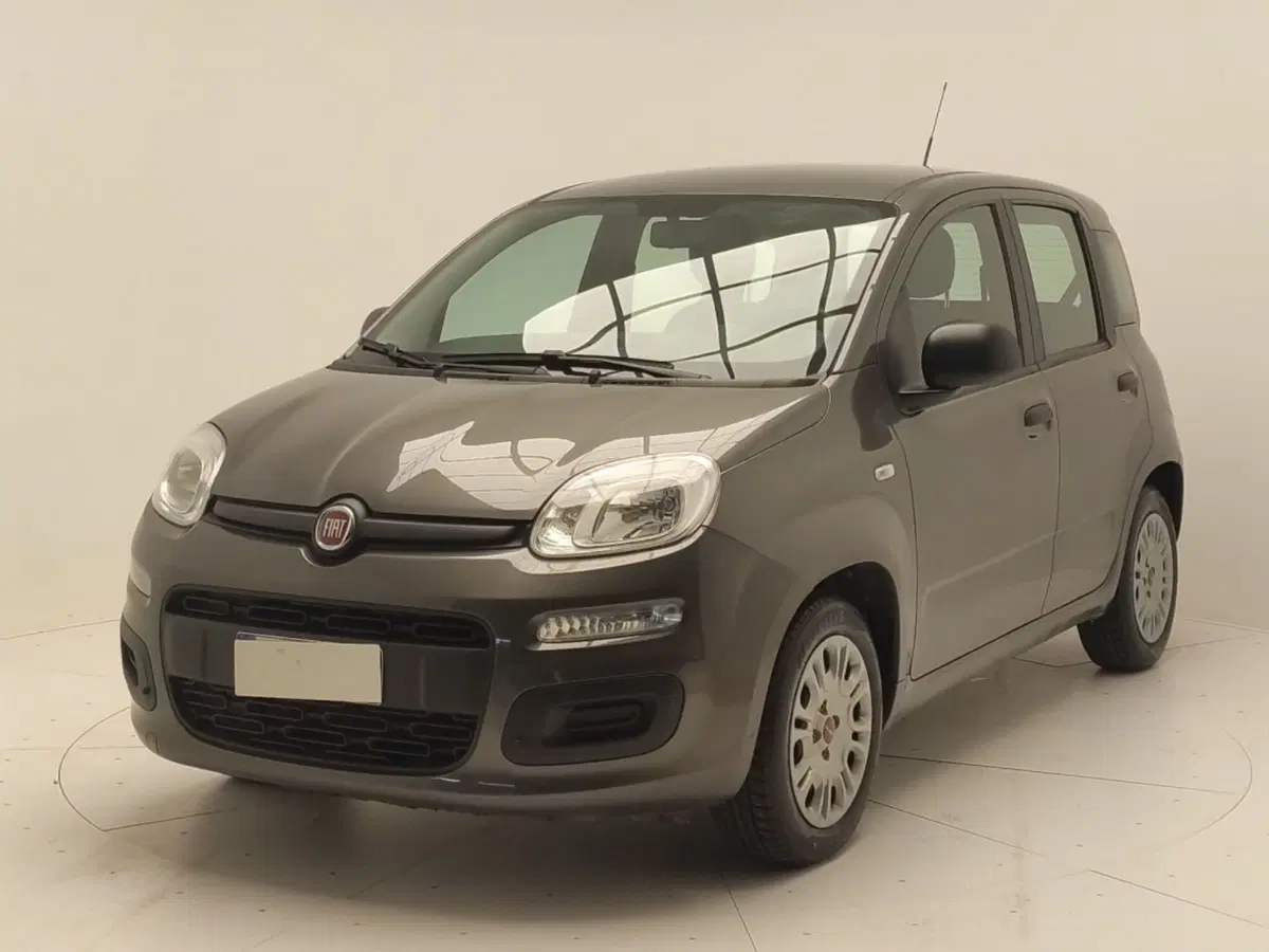 Fiat Panda usata a Avellino (3)