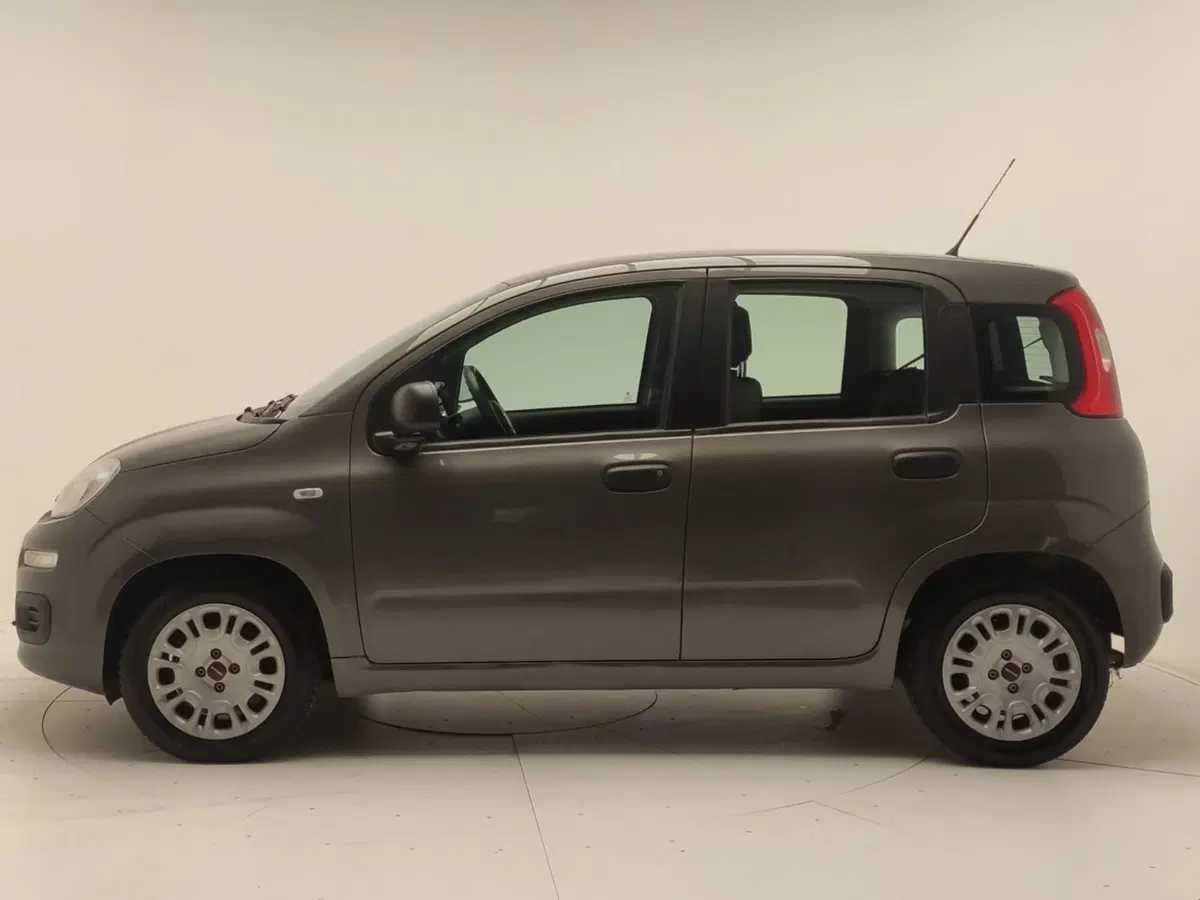 Fiat Panda usata a Avellino (4)