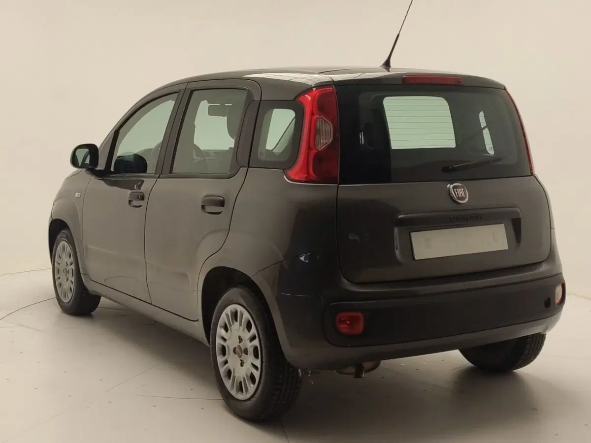 Fiat Panda usata a Avellino (5)