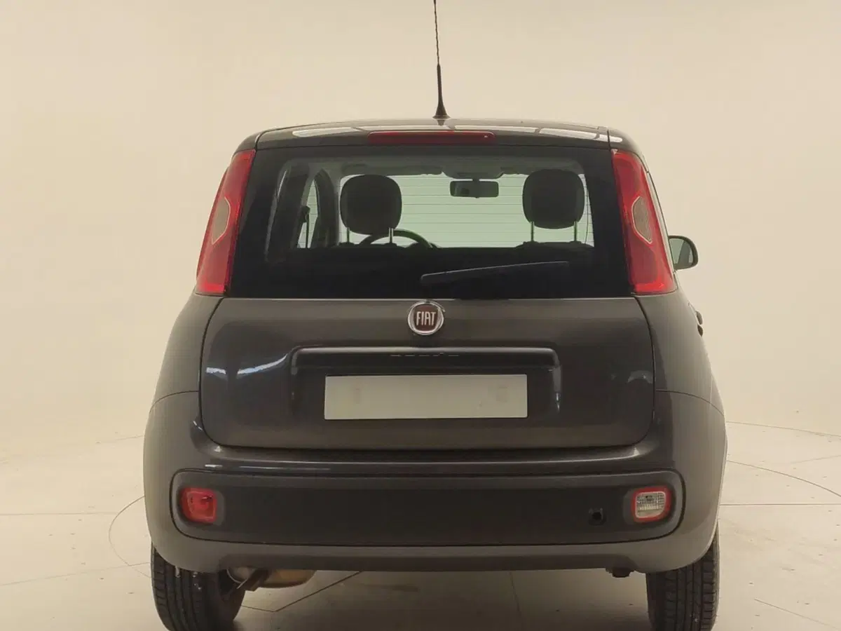 Fiat Panda usata a Avellino (6)