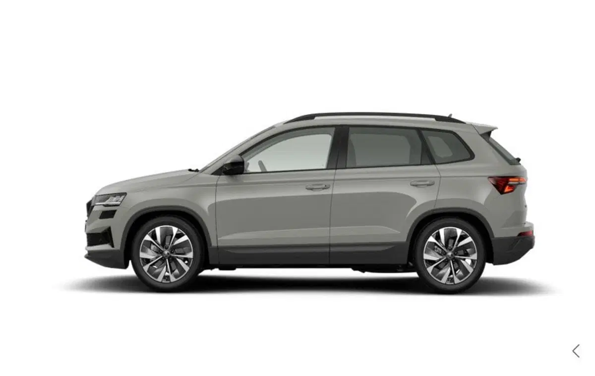 Skoda Karoq nuova a Torino (2)