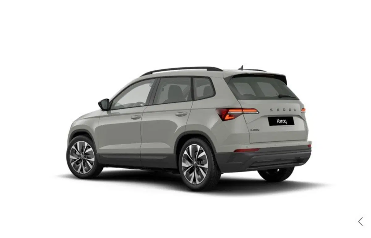 Skoda Karoq nuova a Torino (3)