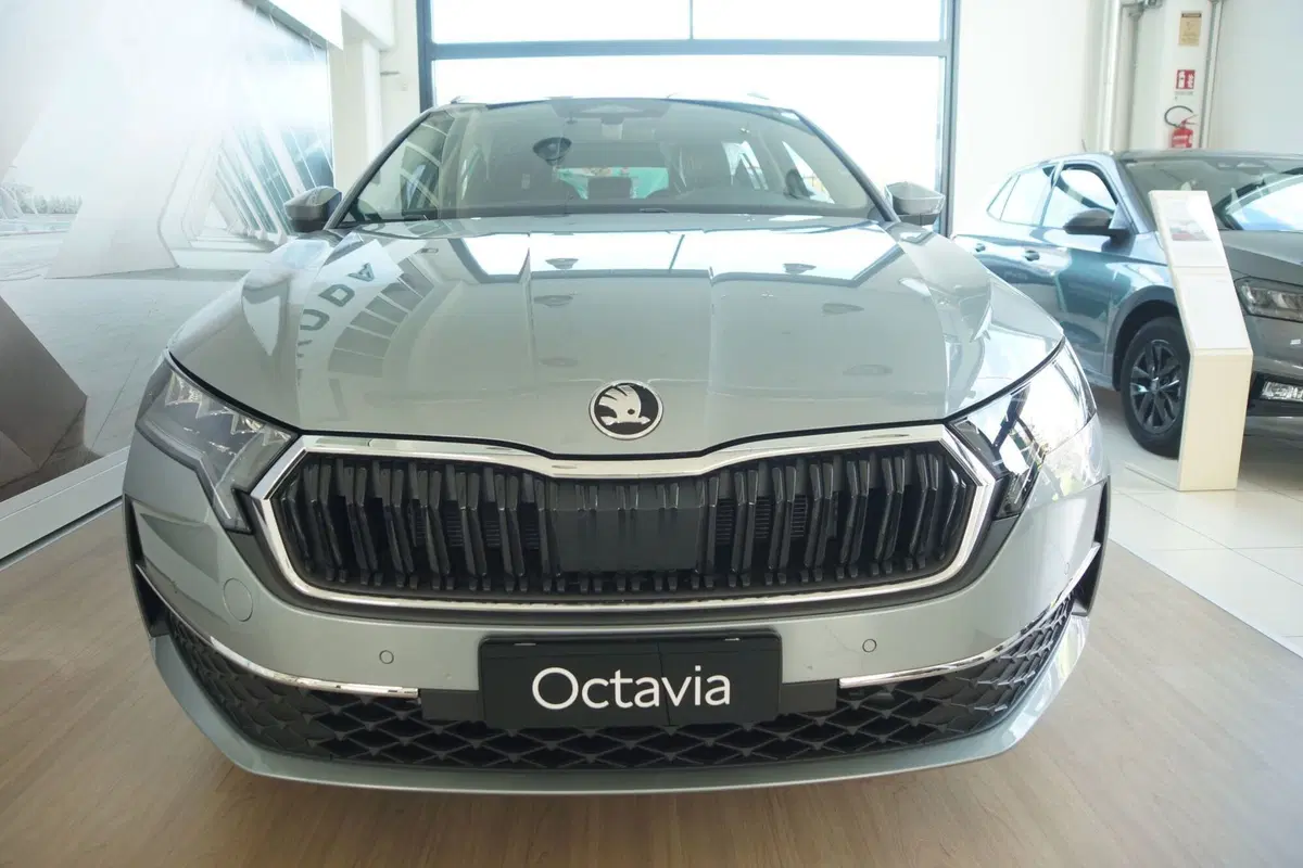 Skoda Octavia Station Wagon nuova a Torino (5)