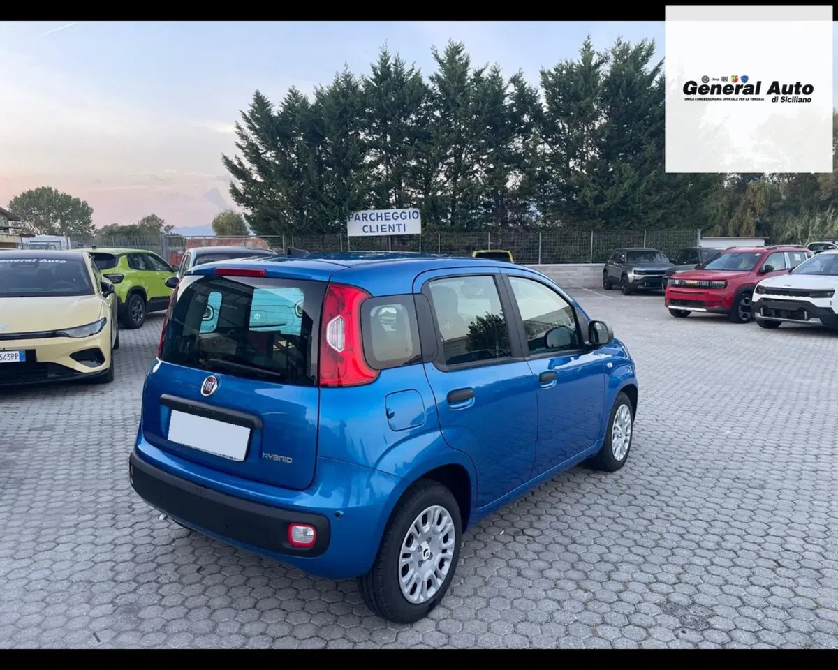 Fiat Pandina usata a Lucca (3)